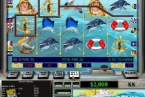 312bet.com paga mesmo? Descubra a verdade sobre esse site e veja se vale a pena apostar